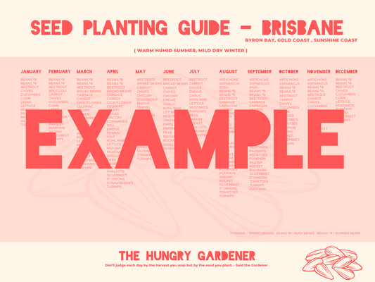 Seed Planting Guide - Printable PDF