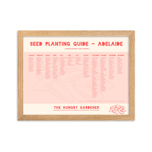 Seed Planting Guide  - Adelaide