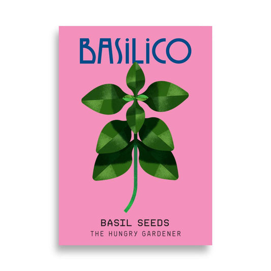 Basil Poster-The Hungry Gardener